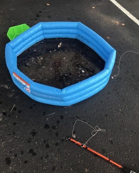 Unknown 2 1 e1536698569631 Unknown 2 1 e1536698569631