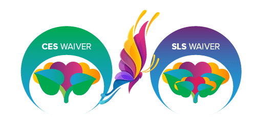 CES to SLS Waiver