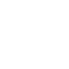 icons8 wheelchair 100 (1)